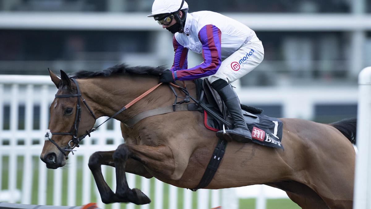 Paul Nicholls' horse Bravemansgame 